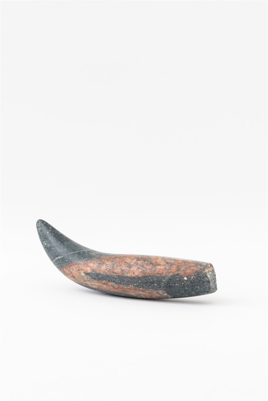 Fragment (E)