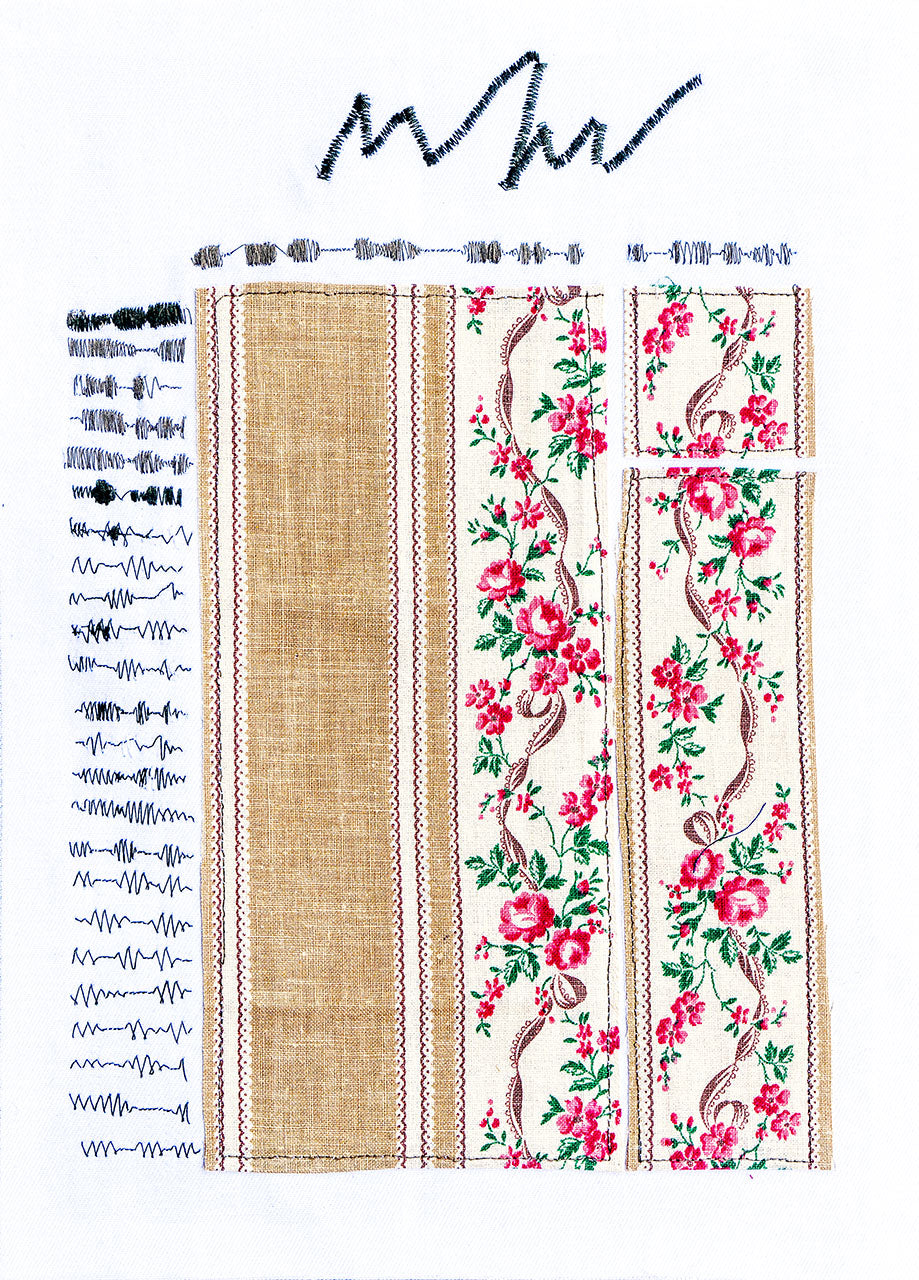 Ciclo della rosa arrampicante