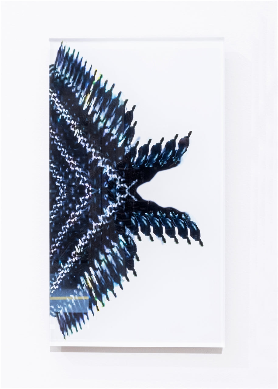 Schmetter-Ling Ornament Artefakt