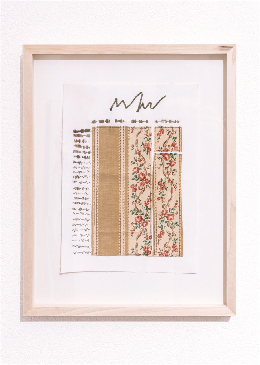 Ciclo della rosa arrampicante