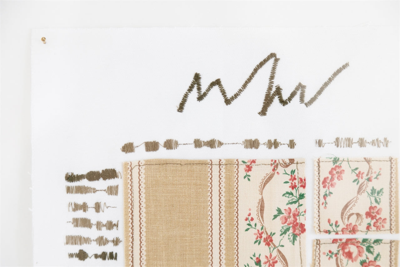 Ciclo della rosa arrampicante