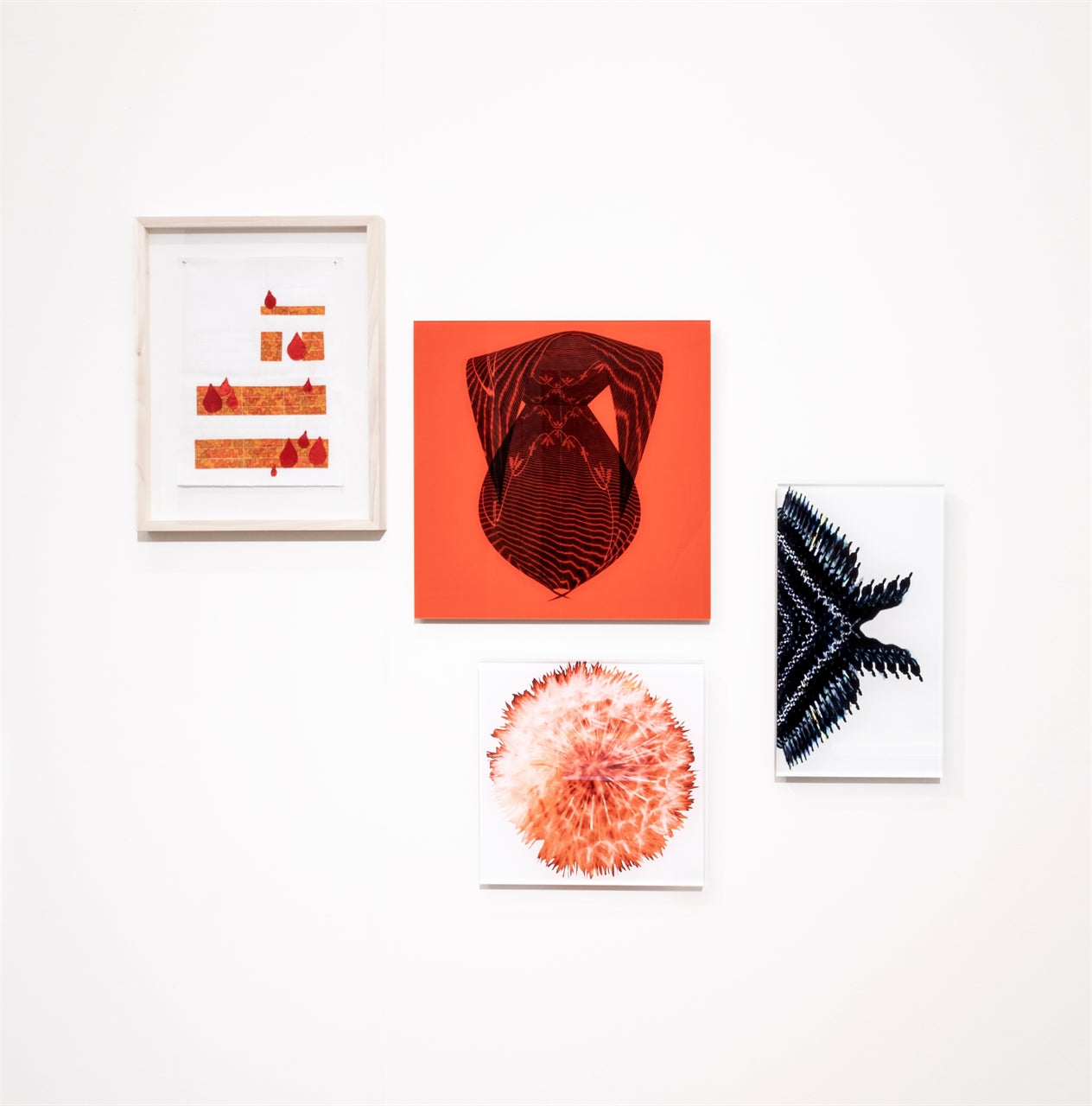 Ciclo della donna goccia