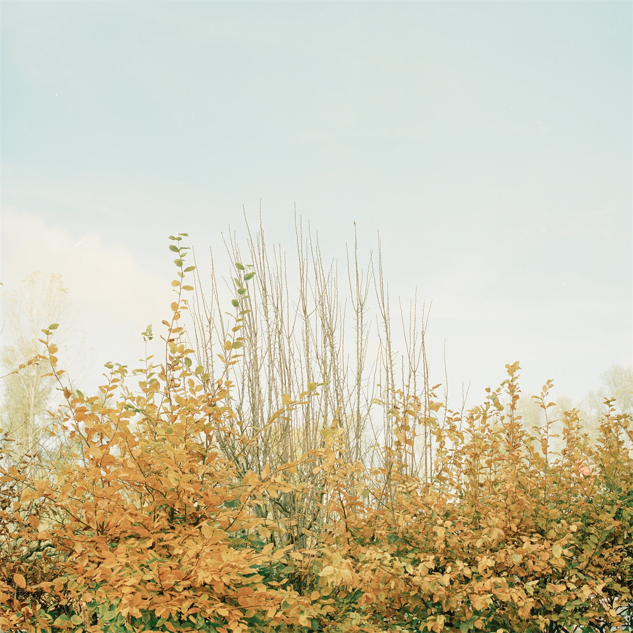 Somewhere in Basel I