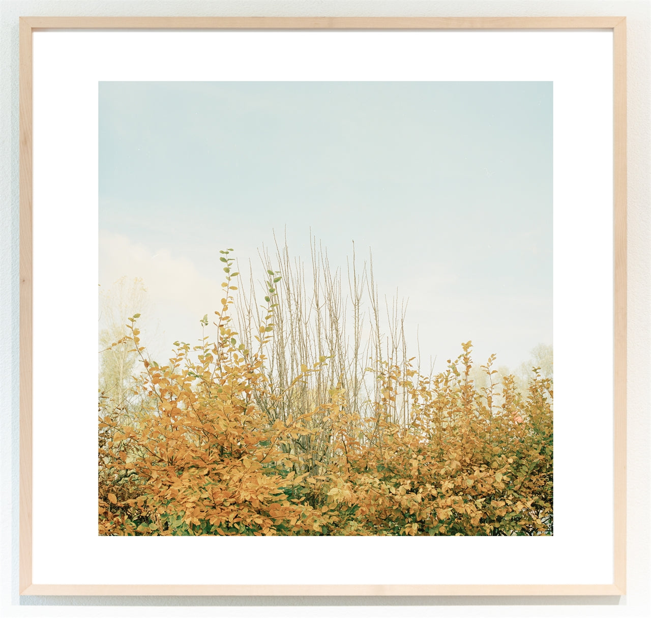 Somewhere in Basel I