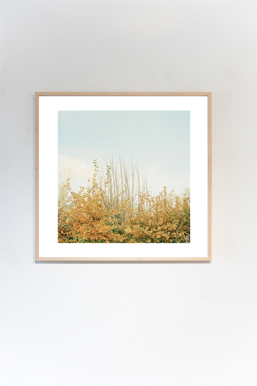 Somewhere in Basel I