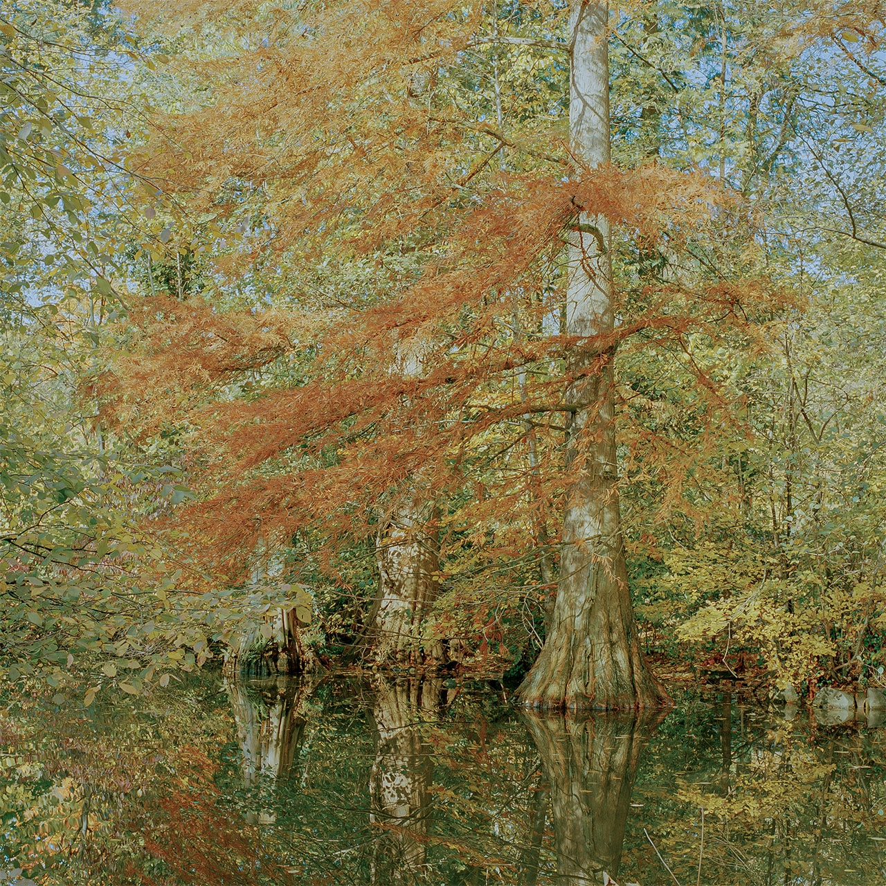 Somewhere in Basel II