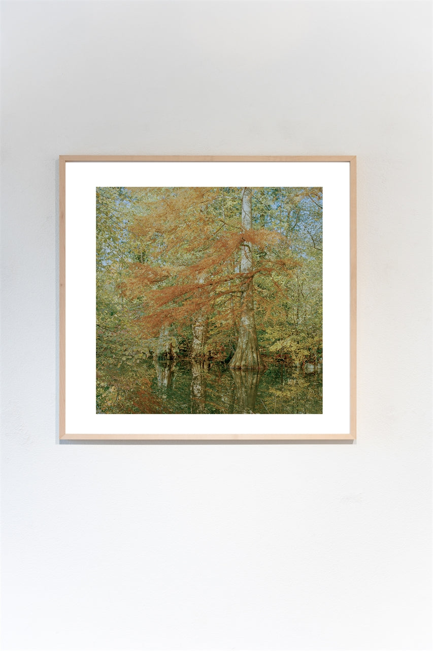 Somewhere in Basel II