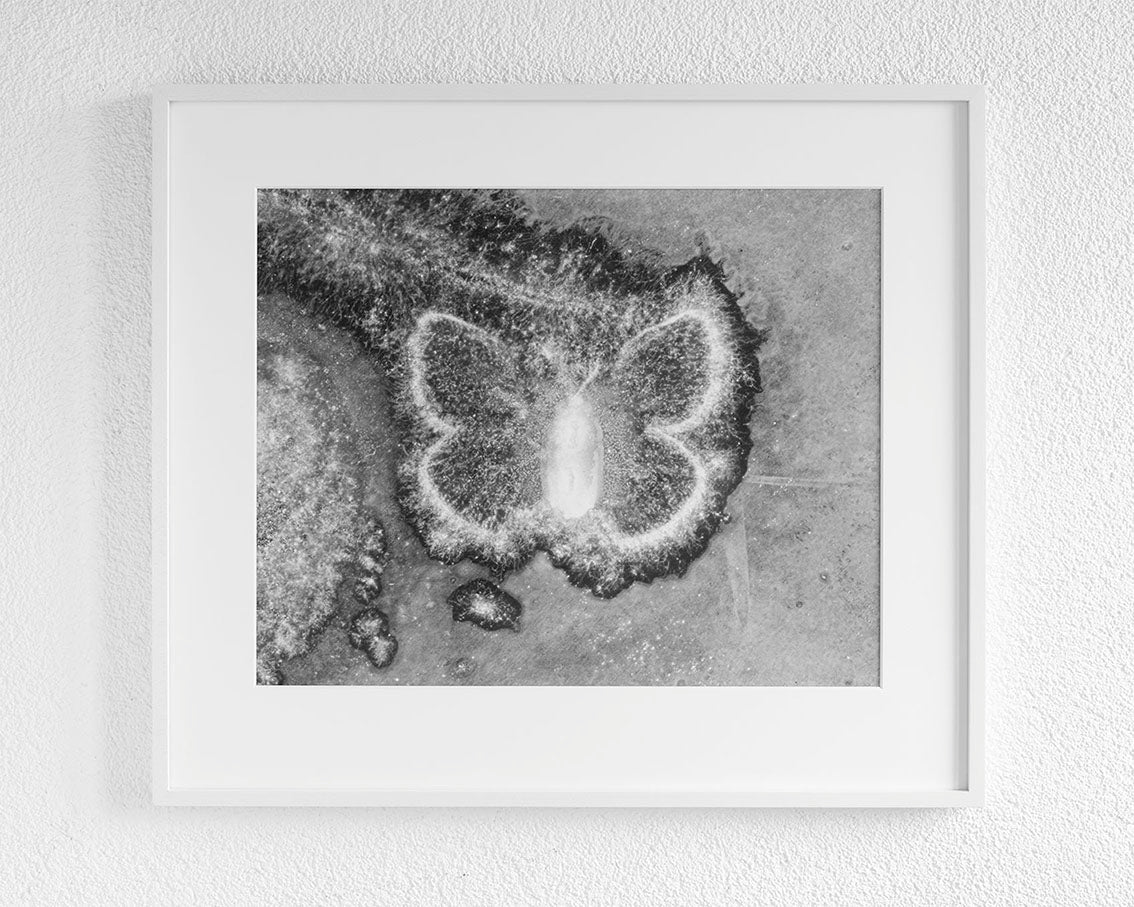 Sonderausgabe Skonogramme