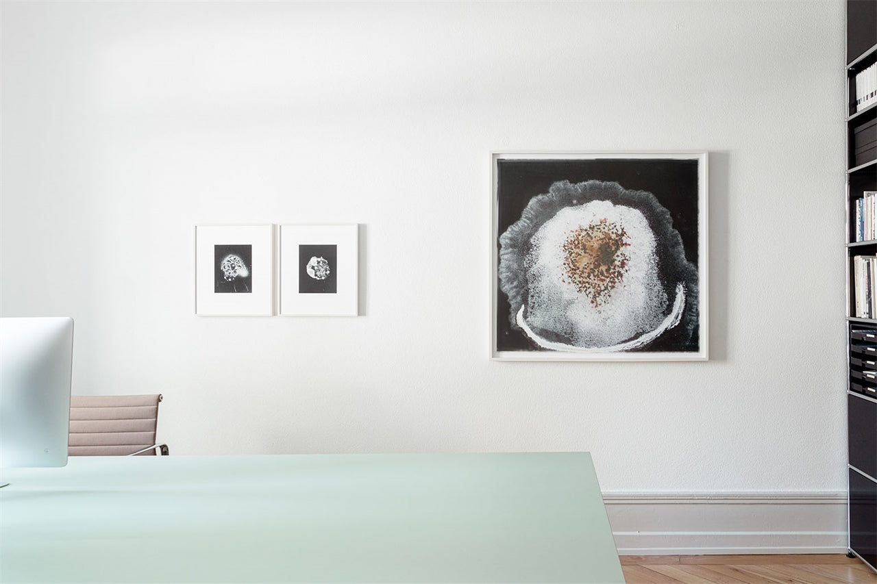 Erdbeere im Streiflicht