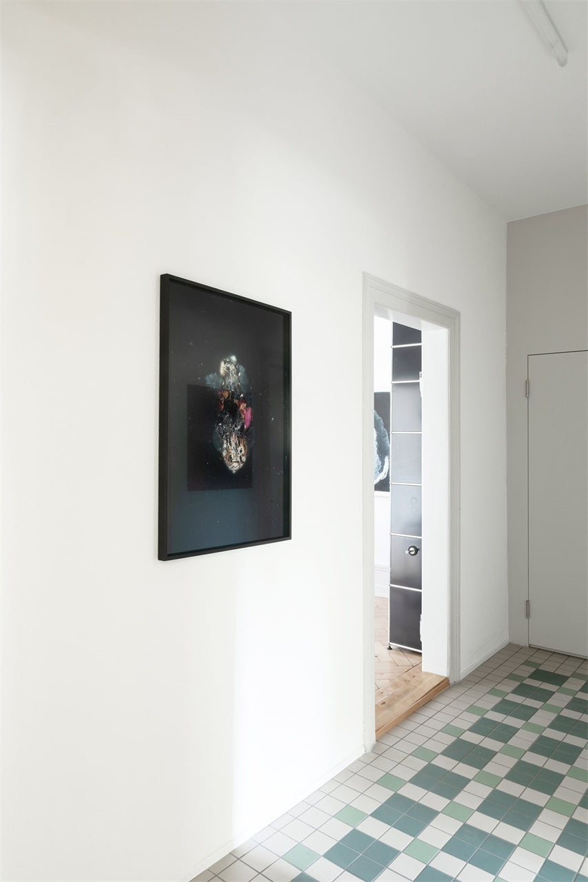 Vicia cosmophylla - Zaunwicke im Streiflicht