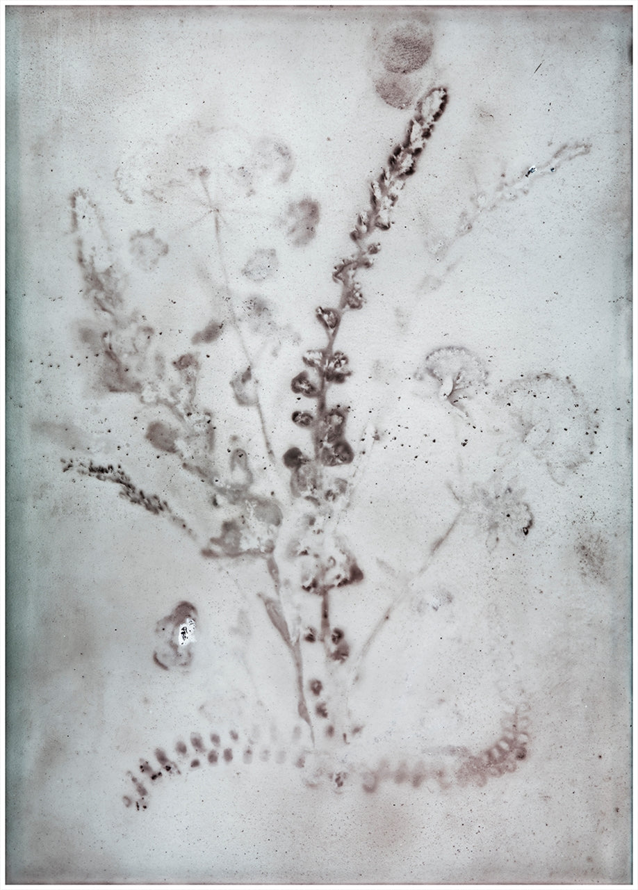 Skonogramme. Kleines Idyll