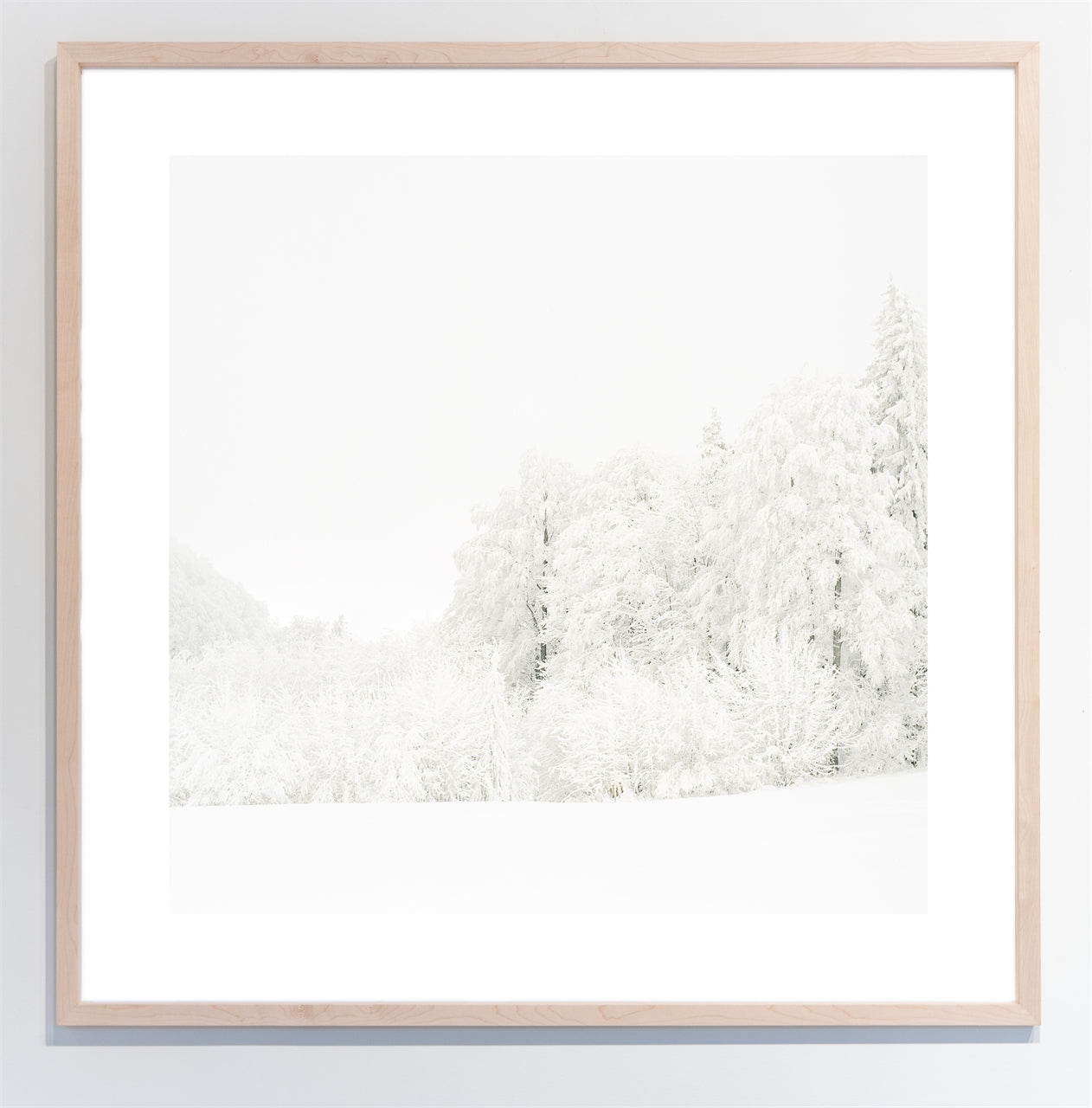 Winter Forest I